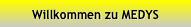 Willkommen zu MEDYS